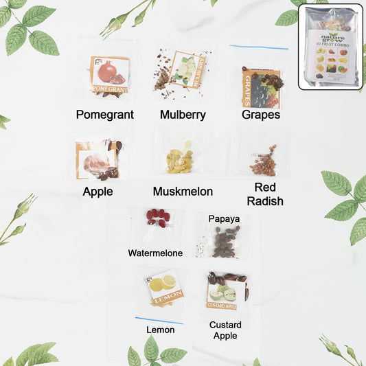 Fruit Seeds Combo Pack - (10 Pc Set)