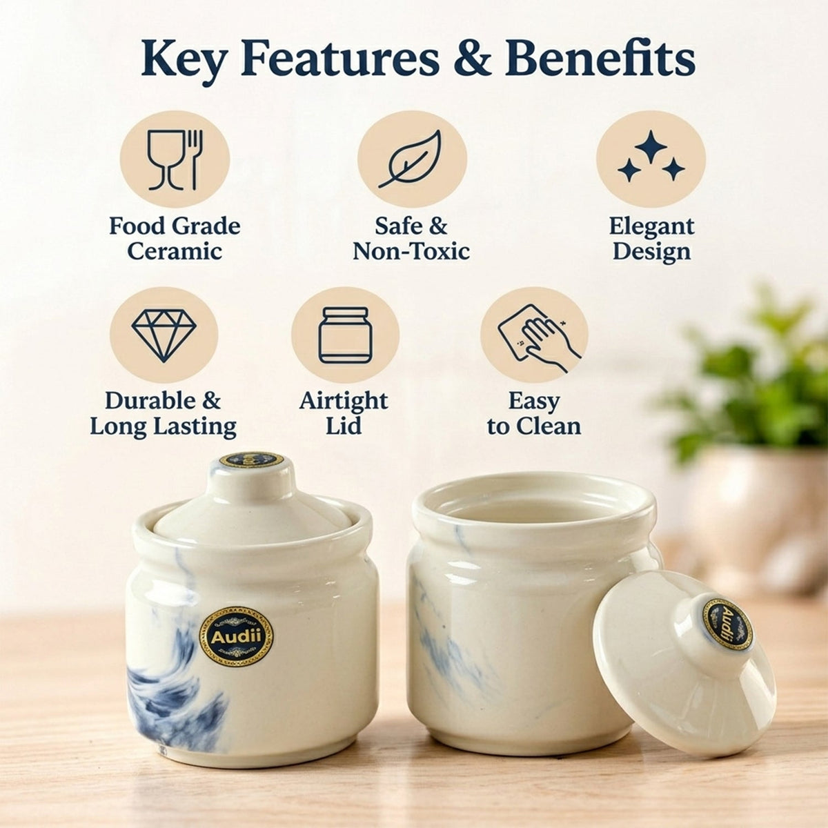 Ceramic Storage Jar Set With Lids For Tea Sugar And Kitchen Spices (2 Pc)