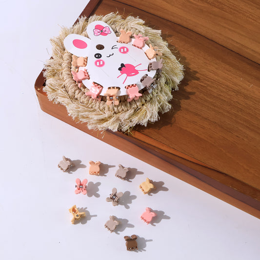 Mini Claw Hair Clips Set For Girls (12 Pkt 1 Set)