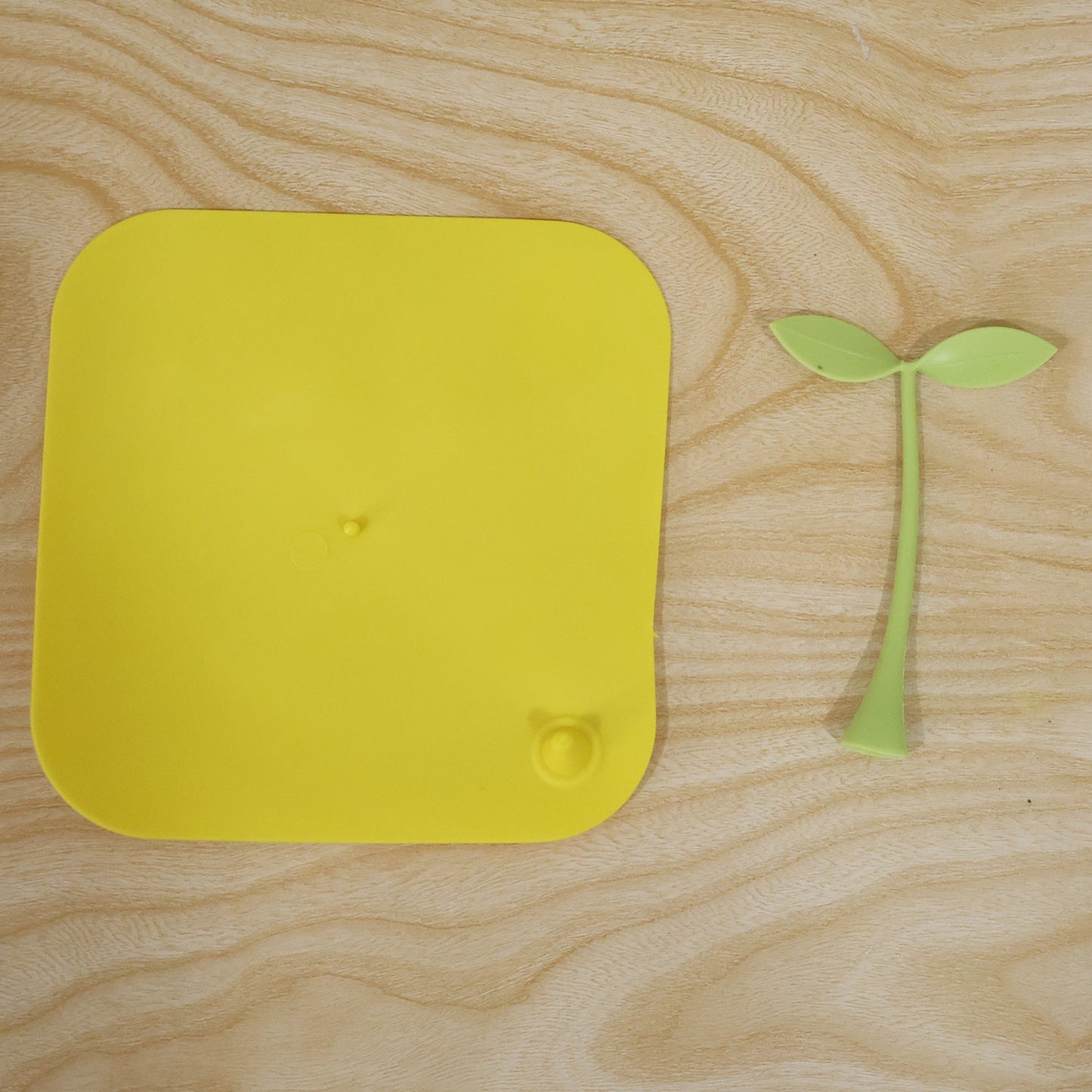Silicone Bean Sprout Floor Drain Cover For Bathroom Kitchen And Laundry (1 Pc)