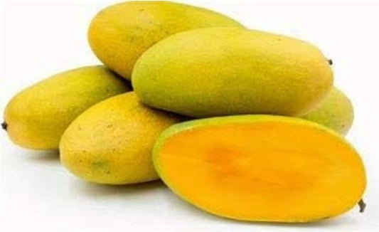 Seeds Vg - Dasheri Aam / Mango Plant