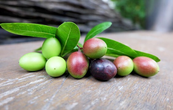 Seeds Karonda Plant