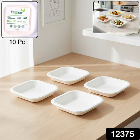 Disposable Square Food Serving Tray Set (10 Pc)