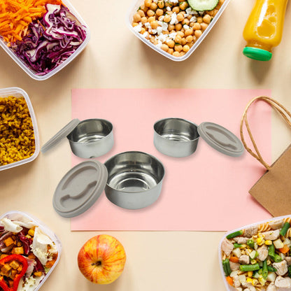 4 Insulated Tiffin Box Outer Plastic Inner Steel Comes with 4 Steel Container