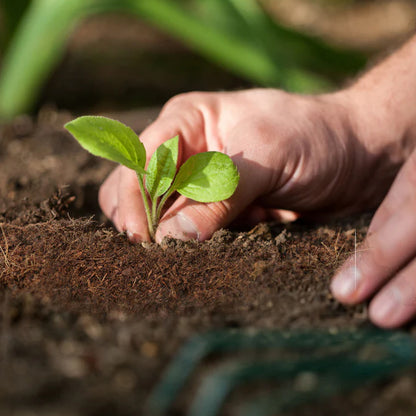 Wukusy organic cocopeat block for home gardening, soil manure, and potted plants, 1 kg, ideal for healthy plant growth.