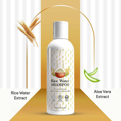 Dropdash Rice Water Hair Shampoo bottle, paraben and sulphate free, with a clean, modern design, part of new arrivals.