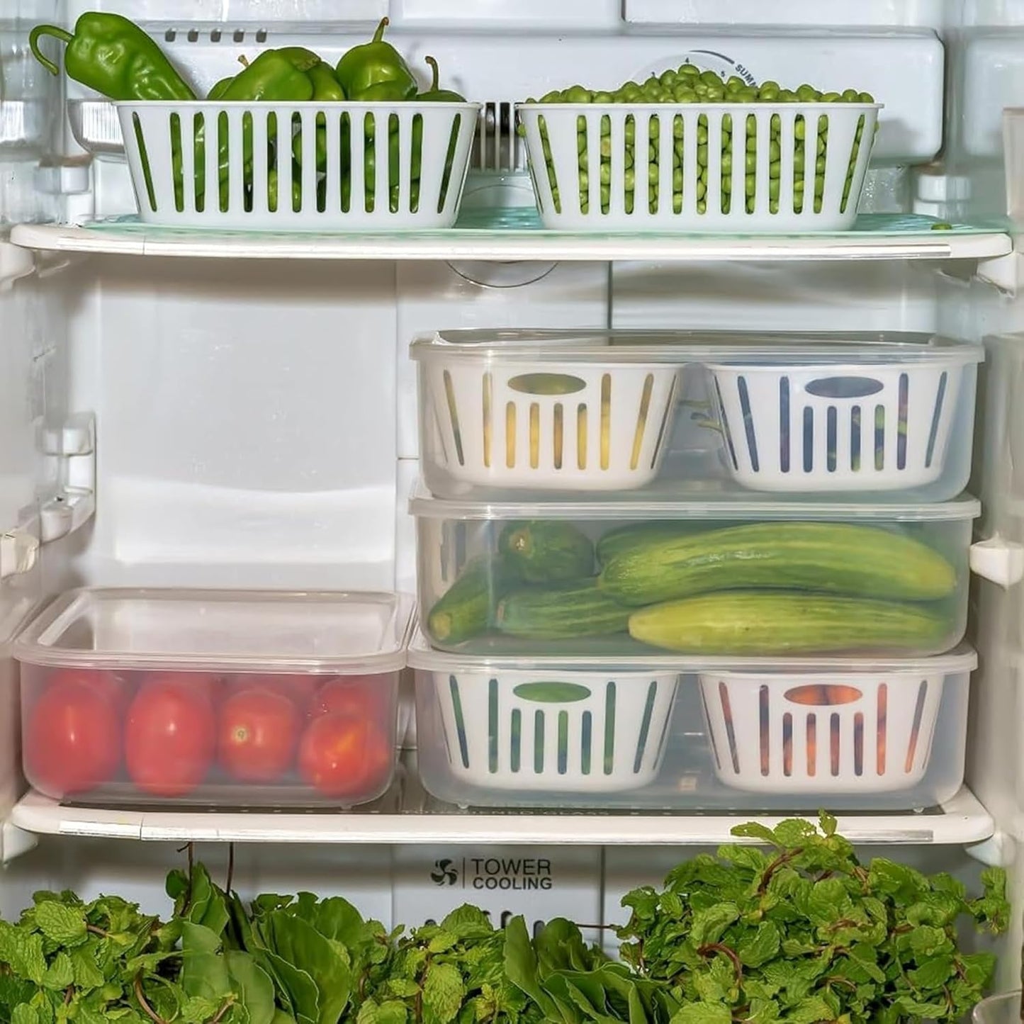 Container for Kitchen Storage Set