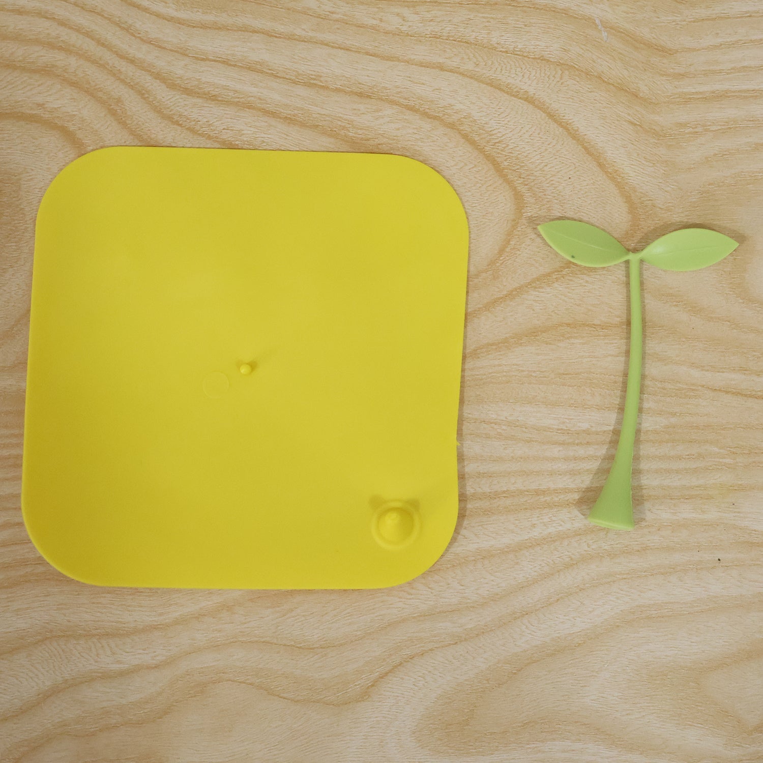 Silicone Bean Sprout Floor Drain Cover For Bathroom Kitchen And Laundry (1 Pc)