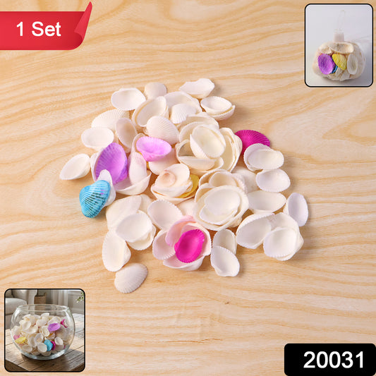 Wukusy decorative seashells set featuring various natural seashells with intricate textures and colors, ideal for coastal decor.