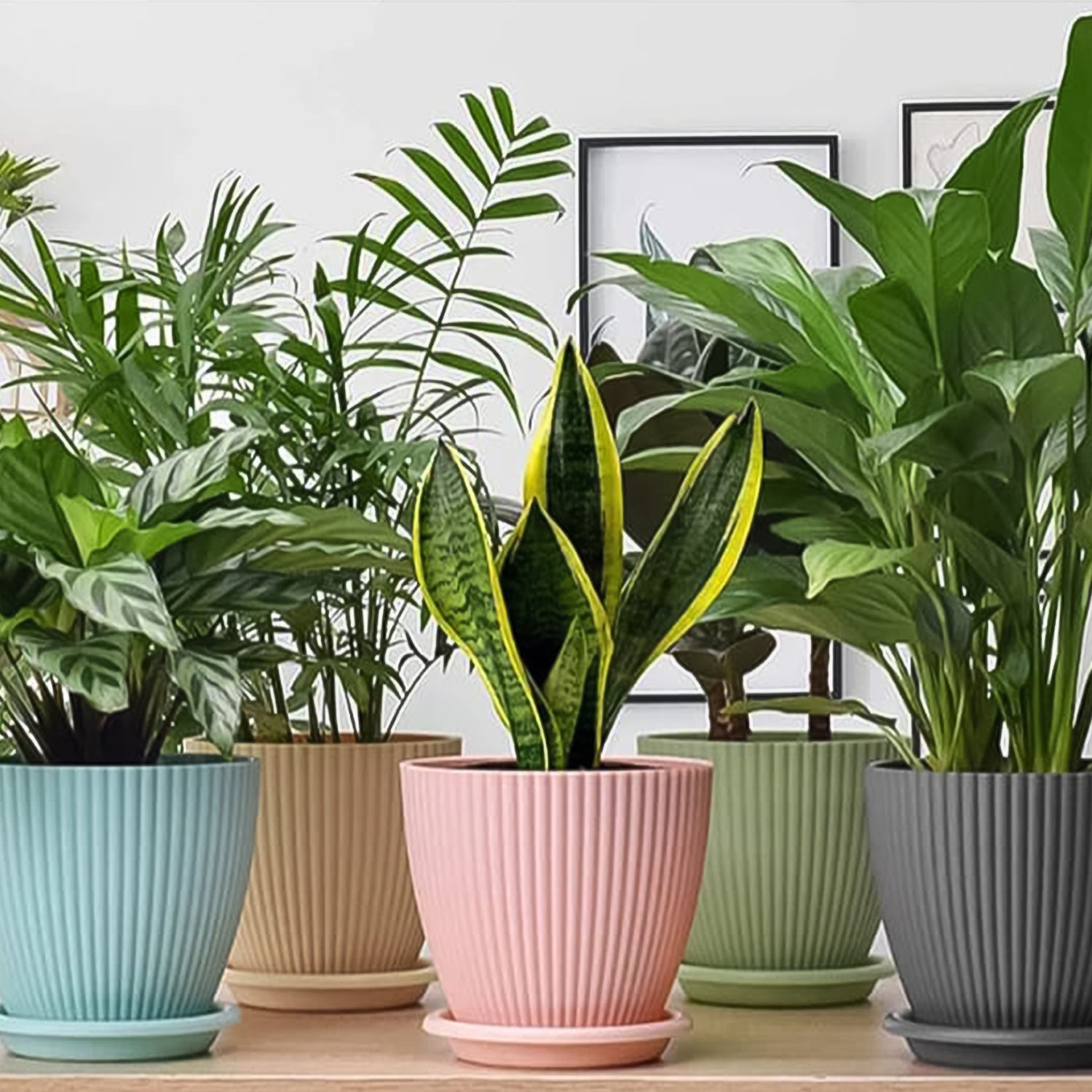 Set of five Wukusy plastic flower pots with matching bottom trays, ideal for indoor and outdoor plants.