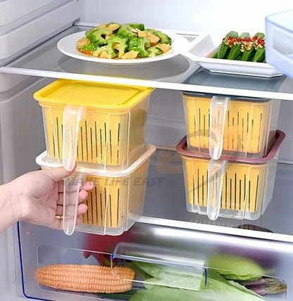 Fridge Organizer Storage Box (With Handle), Plastic