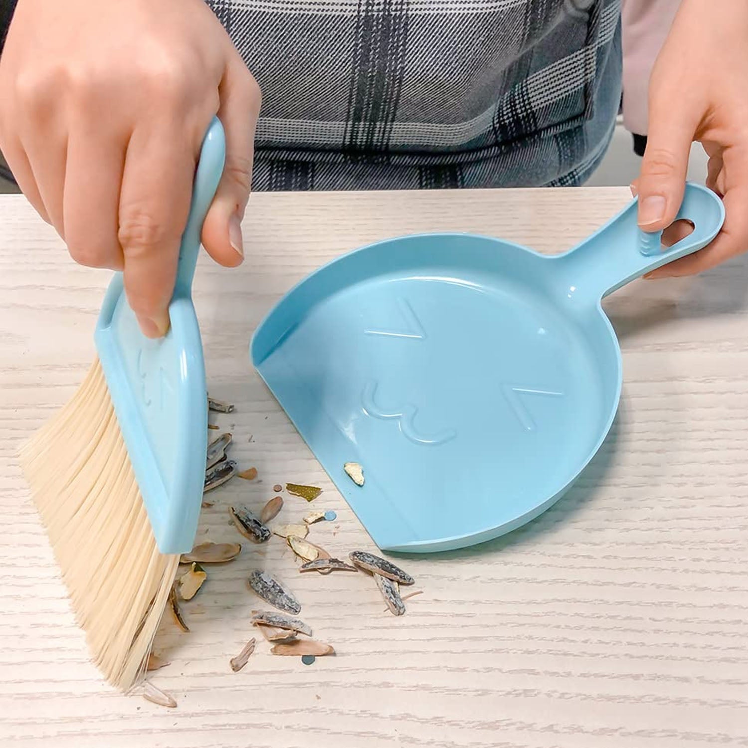 2-in-1 Mini Cleaning Dustpan  Hand Brush Set (1 Set)