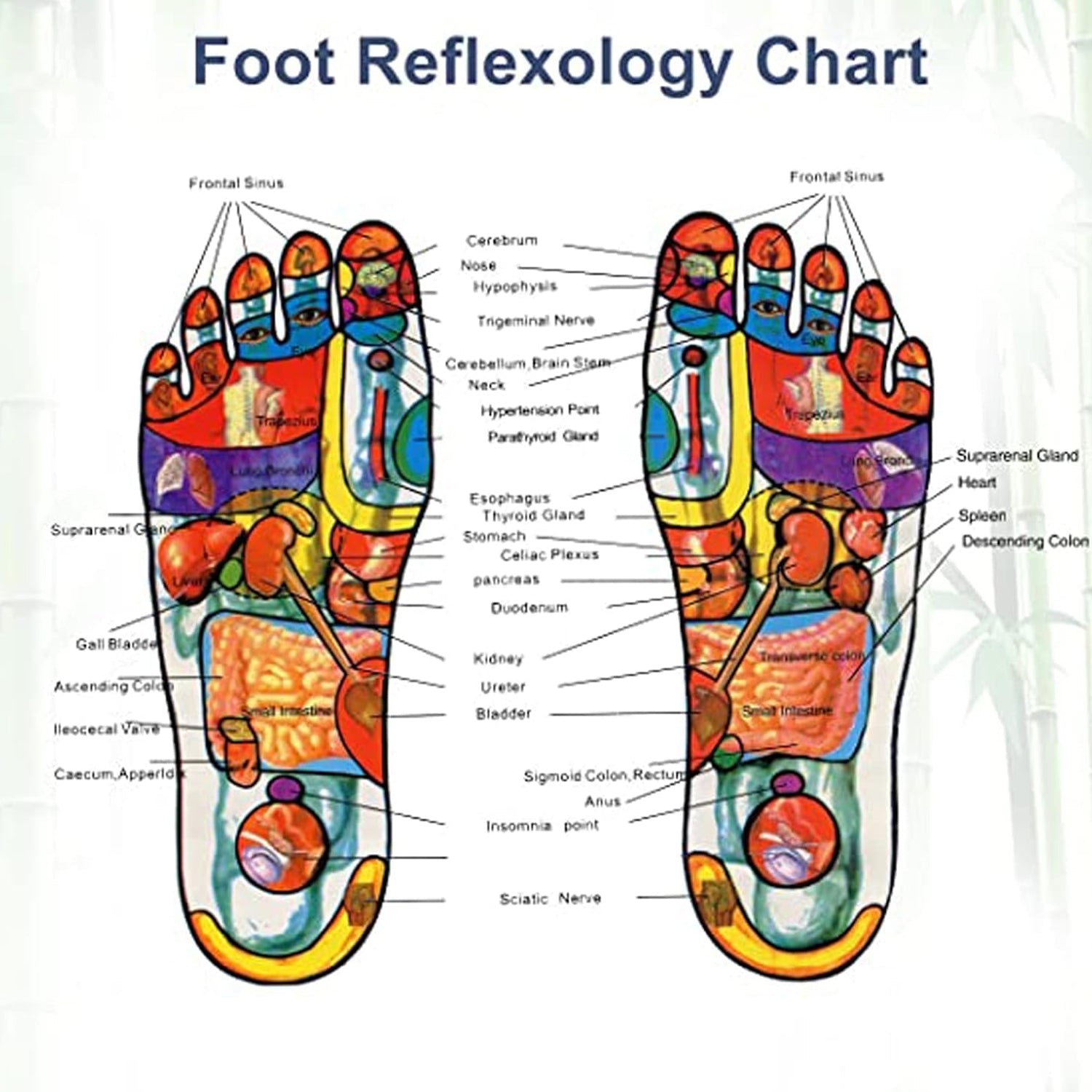 Detox Foot Pads With Ginger  Salt  10 Pcs  Velvet Wellness