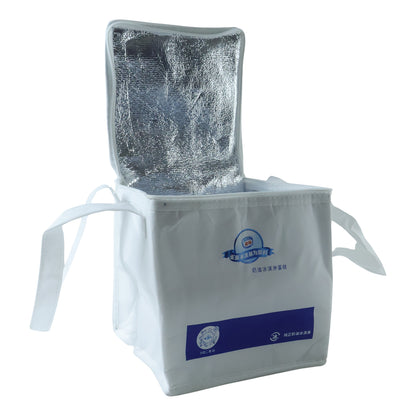 Insulated Thermal Lunch Bag (1 Pc 23x20 Cm)