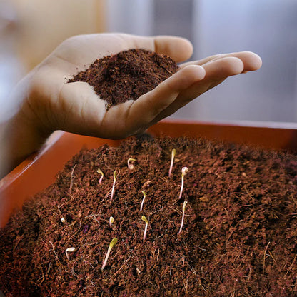 Wukusy organic cocopeat block for gardening, showing a compressed soil block in a gardening setup for potted plants and home gardens
