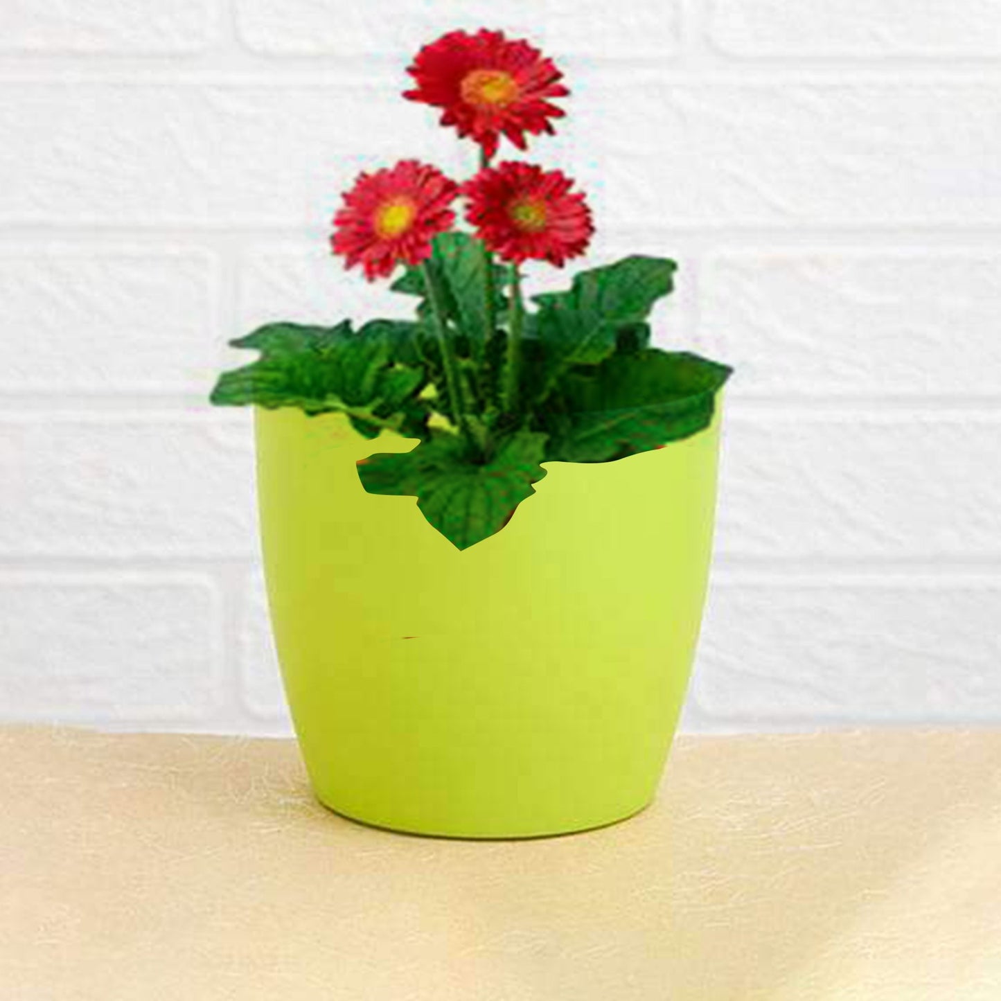 Round Wukusy garden flower pots for indoor and outdoor gardening, showing the sleek ceramic design and blooming plants inside.