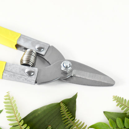 Precision Micro Garden Snip Pruning Scissor (Small)